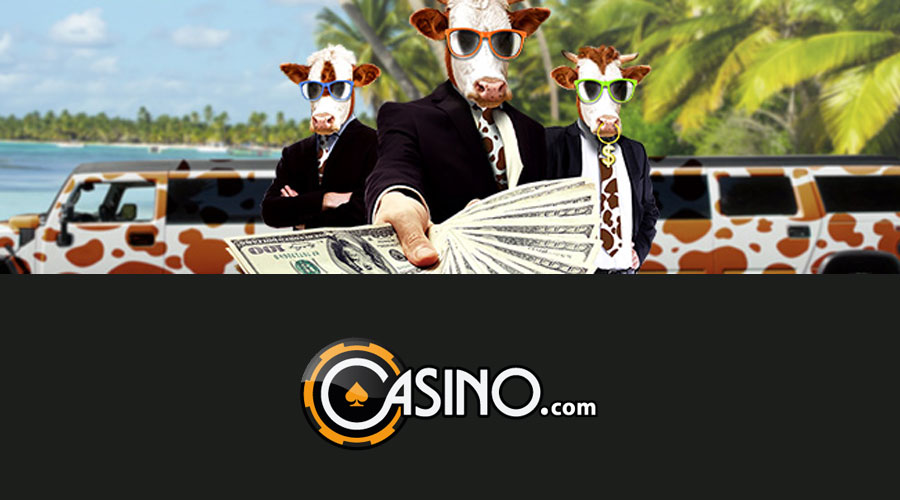 Cash Cow promotion at Casino.com
